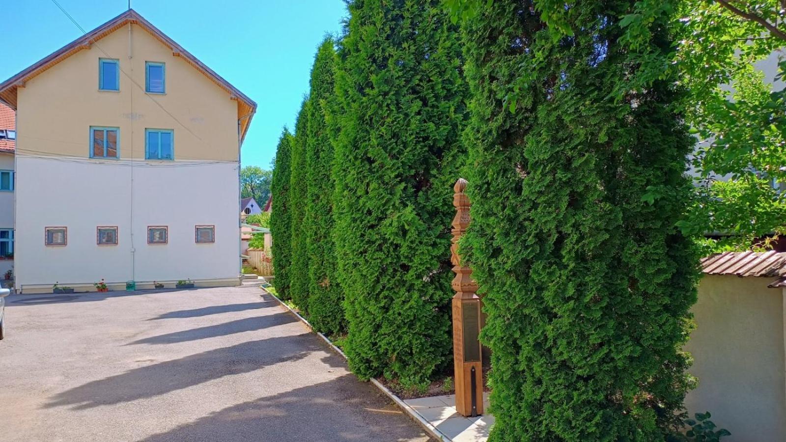 Centrul Gaudeamus Hostel Сигишоара Екстериор снимка